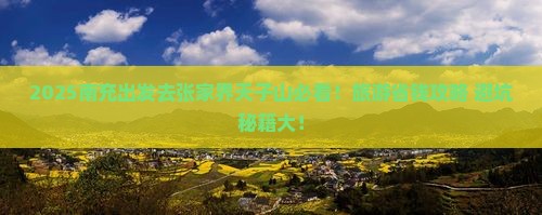 南充到张家界天子山团体旅游