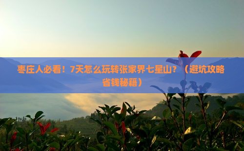 枣庄去张家界七星山七日游