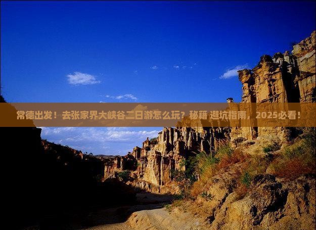 常德去张家界大峡谷二日游