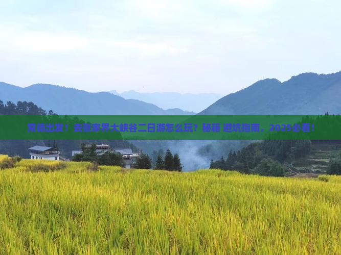常德去张家界大峡谷二日游