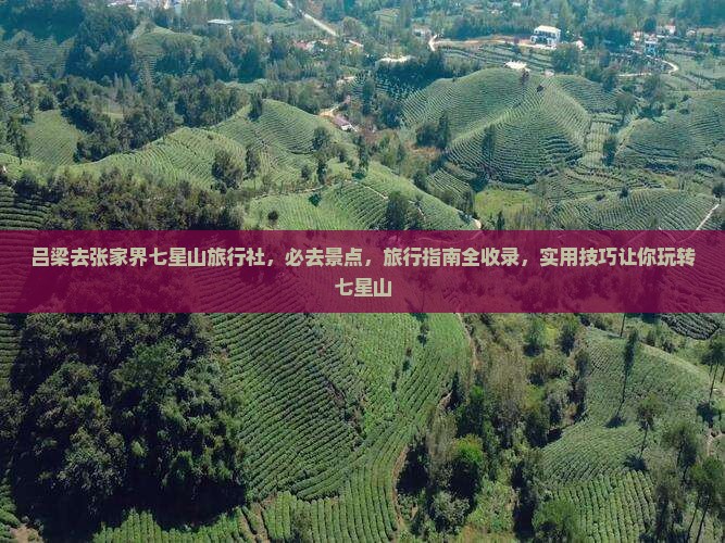 吕梁去张家界七星山旅行社