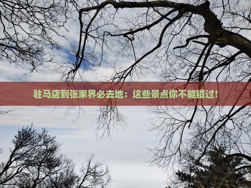驻马店到张家界必去地
