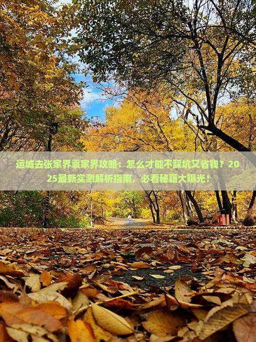 运城去张家界袁家界攻略