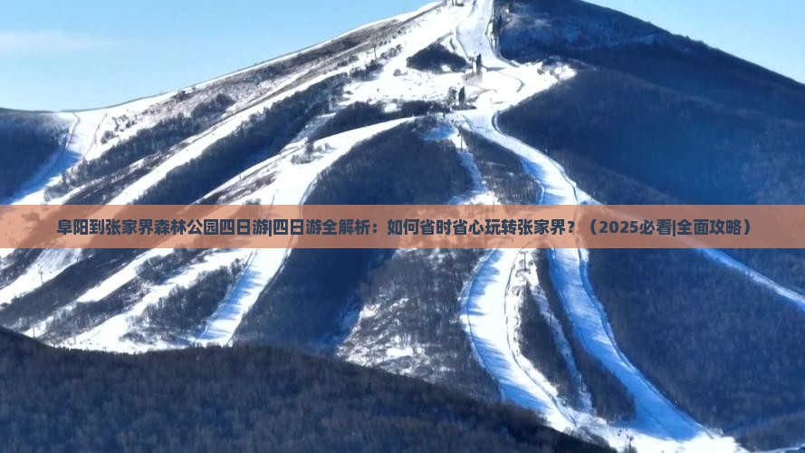 阜阳到张家界森林公园四日游