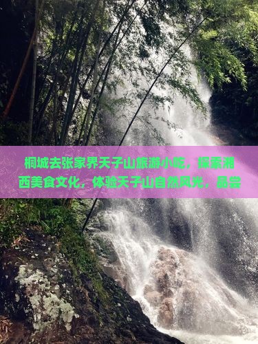 桐城去张家界天子山旅游小吃