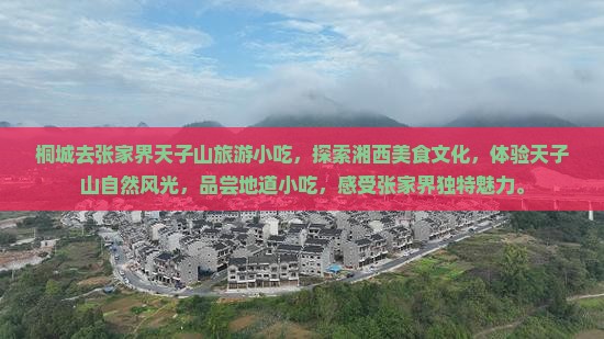 桐城去张家界天子山旅游小吃