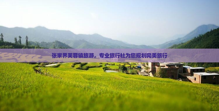 三月到张家界芙蓉镇旅行社