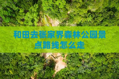 和田去张家界森林公园景点