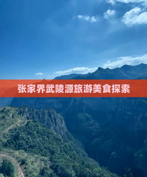 海西去张家界武陵源旅游小吃