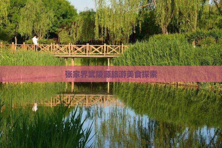 海西去张家界武陵源旅游小吃