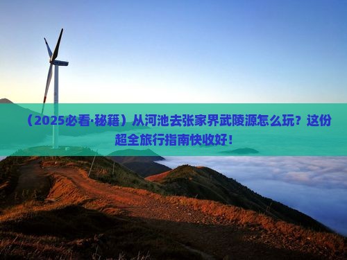 河池到张家界武陵源旅行社