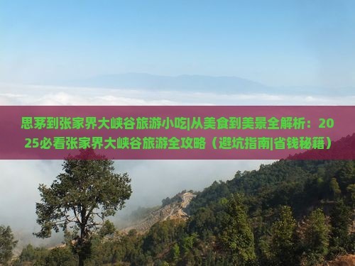 思茅到张家界大峡谷旅游小吃