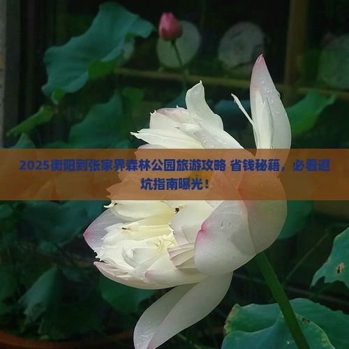 衡阳到张家界森林公园旅游
