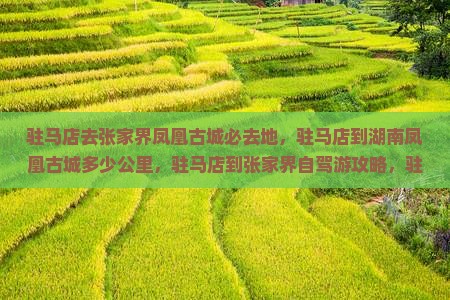 驻马店去张家界凤凰古城必去地