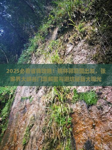 锡林郭勒盟去张家界大峡谷门票 锡林郭勒盟去张家界大峡谷门票