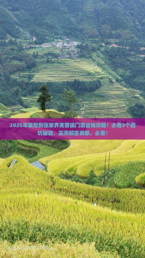 襄樊到张家界芙蓉镇门票