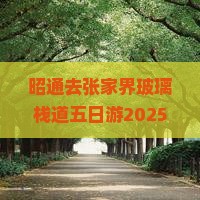 昭通去张家界玻璃栈道五日游