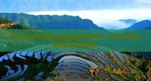 铜仁到张家界玻璃栈道四日游
