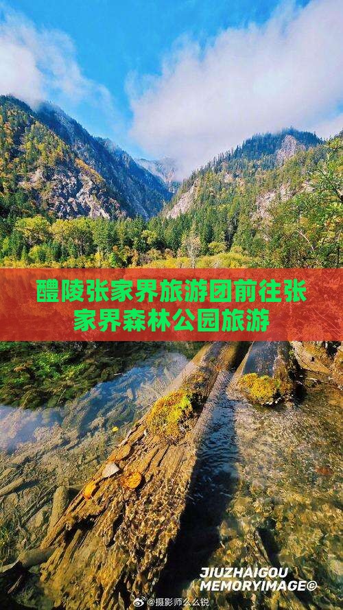 醴陵到张家界森林公园大型旅游团