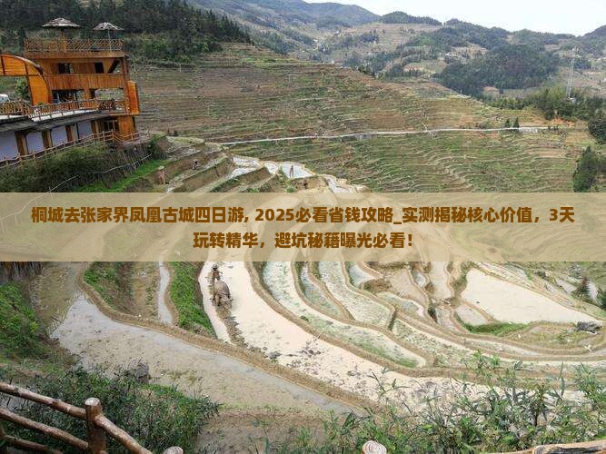 桐城去张家界凤凰古城四日游