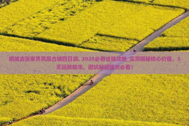 桐城去张家界凤凰古城四日游