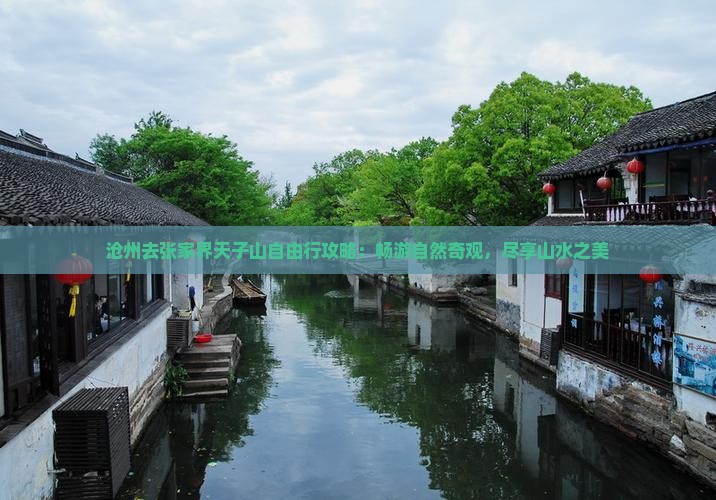 沧州去张家界天子山自由行