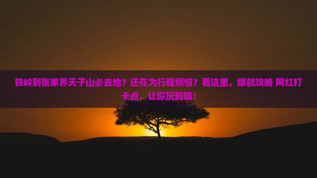 铁岭到张家界天子山必去地