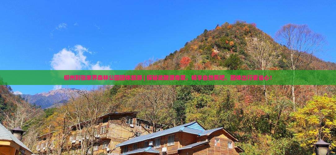 柳州到张家界森林公园团体旅游