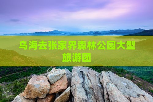乌海去张家界森林公园大型旅游团