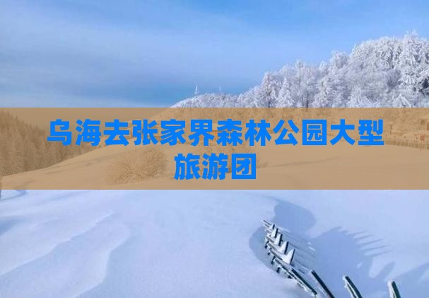 乌海去张家界森林公园大型旅游团