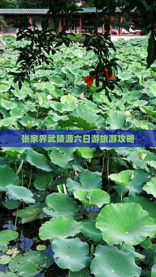 国庆节去张家界武陵源六日游
