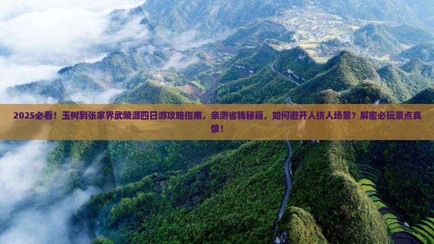 玉树到张家界武陵源四日游