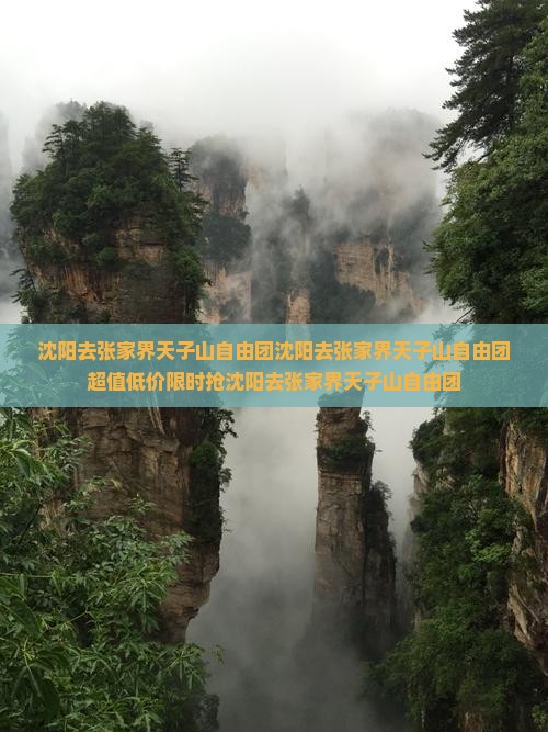 沈阳去张家界天子山自由团