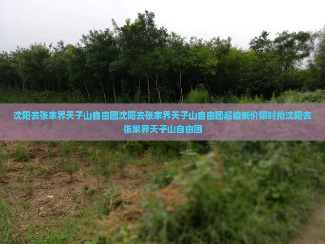 沈阳去张家界天子山自由团