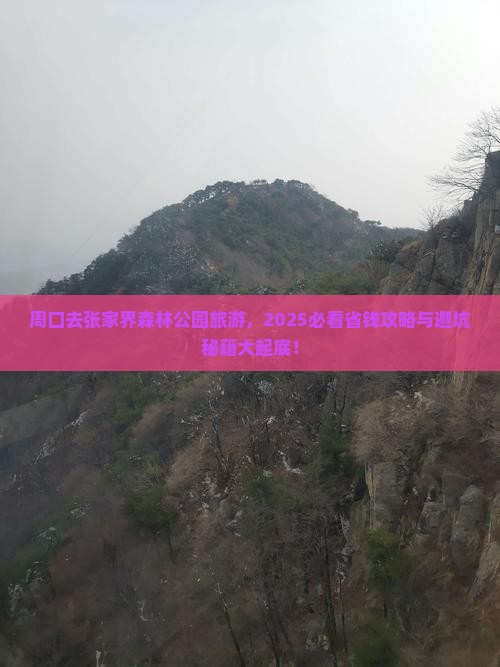 周口去张家界森林公园旅游