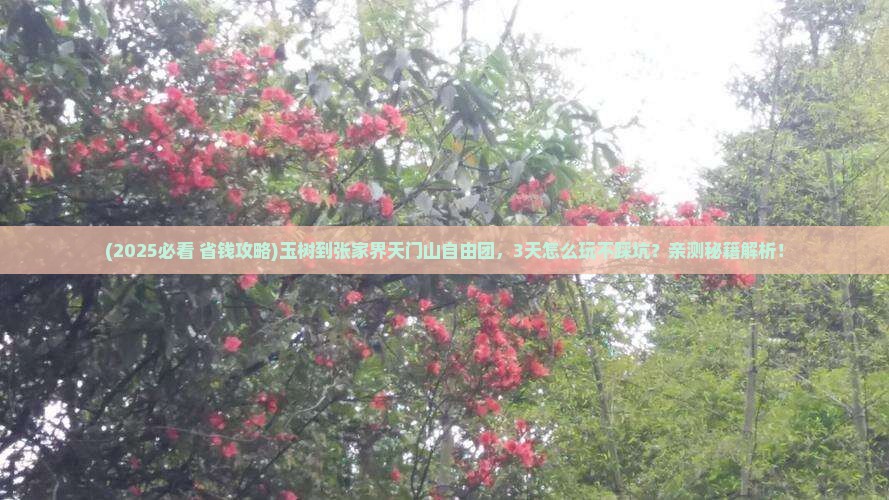 玉树到张家界天门山自由团
