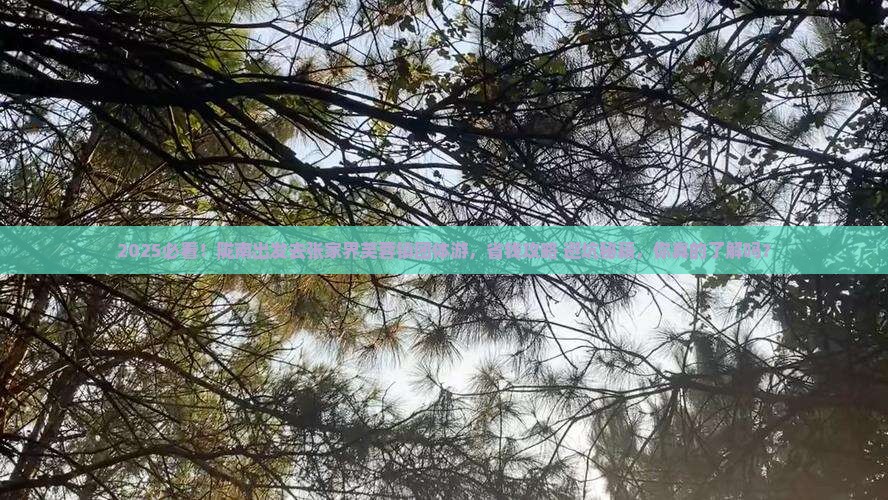 陇南到张家界芙蓉镇团体旅游