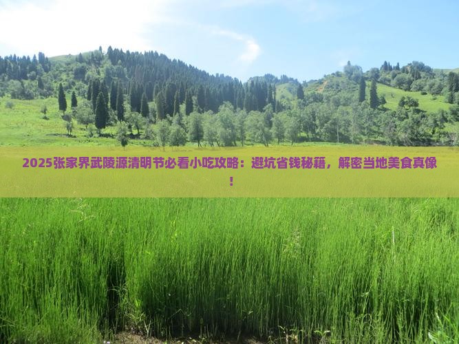 清明节去张家界武陵源旅游小吃