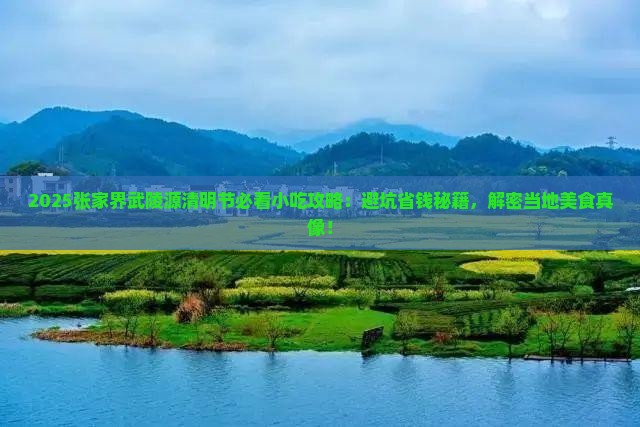 清明节去张家界武陵源旅游小吃