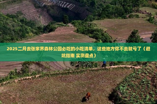 二月到张家界森林公园旅游小吃