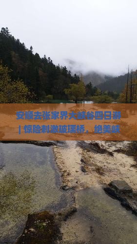 安顺去张家界大峡谷四日游
