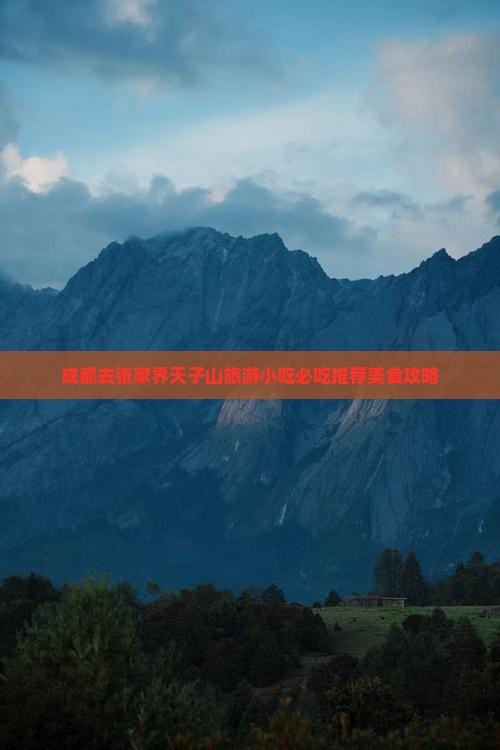 成都去张家界天子山旅游小吃