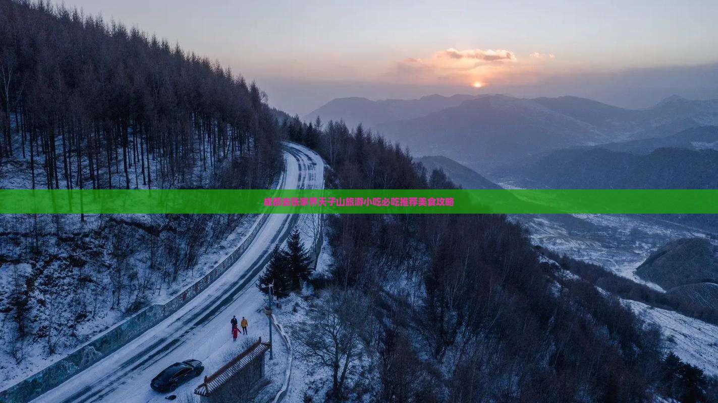 成都去张家界天子山旅游小吃