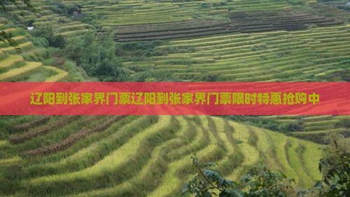 辽阳到张家界门票