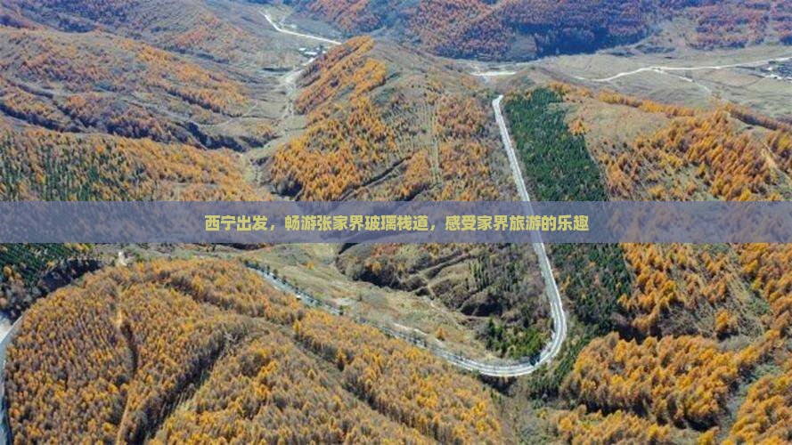 西宁去张家界玻璃栈道大型旅游团