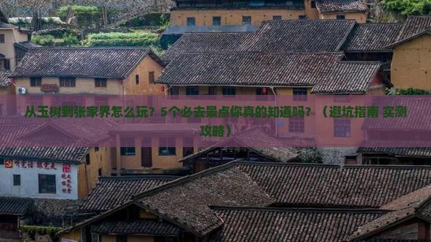 玉树去张家界景点