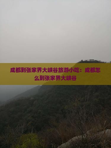 成都到张家界大峡谷旅游小吃