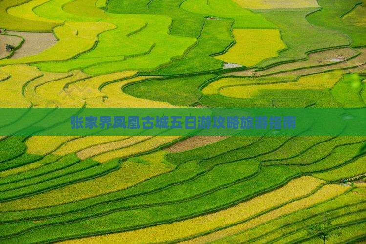 龙岩到张家界凤凰古城五日游
