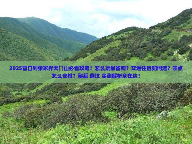 营口到张家界天门山哪里玩