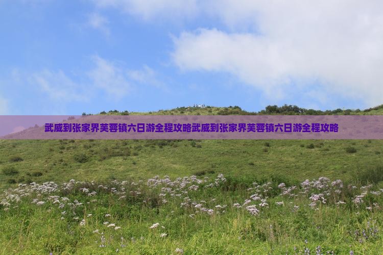 武威到张家界芙蓉镇六日游